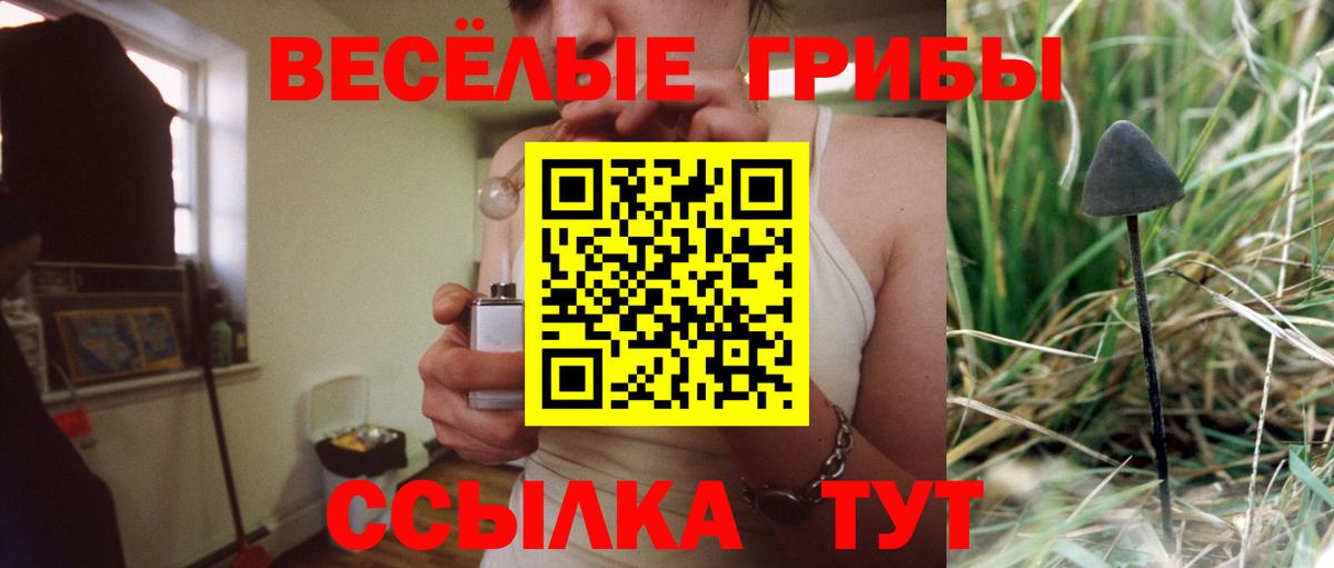 Псилоцибиновые грибы GOLDEN TEACHER  Вход с VPN  Елец 